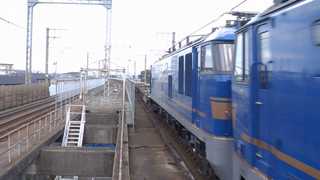 P2250081.MOV_000041227.jpg