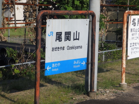 P8181193.JPG