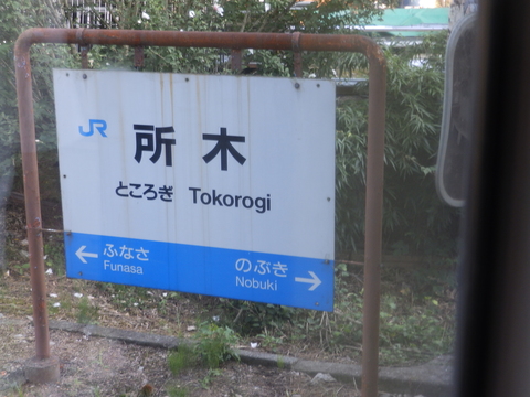 P8181200.JPG